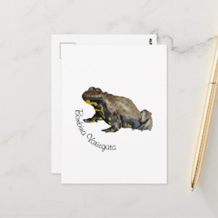 Postal Anfibios, Reptiles y Insectos Acuarela