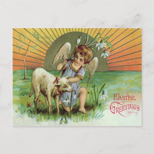 Postal Angel Cherub Sun Lamb Sheep (Anverso)