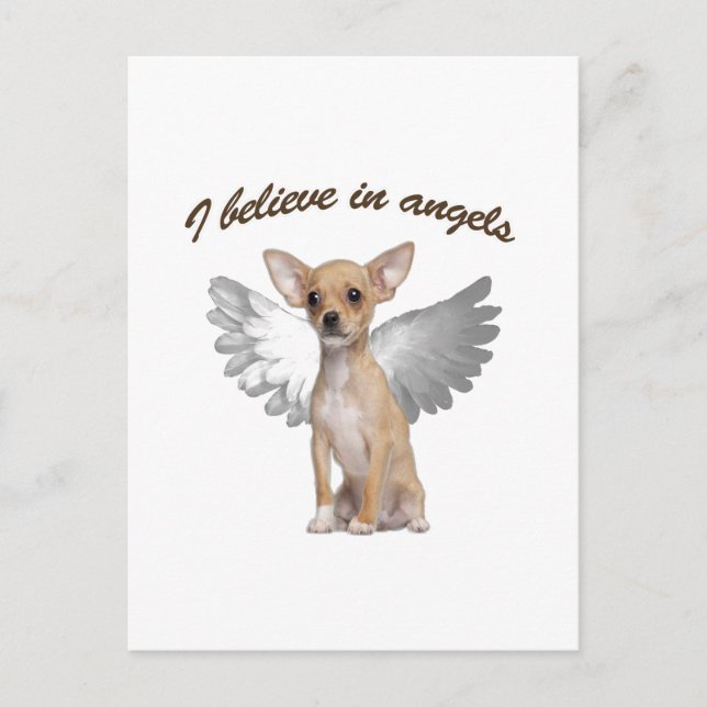 Postal Angel Chihuahua (Anverso)