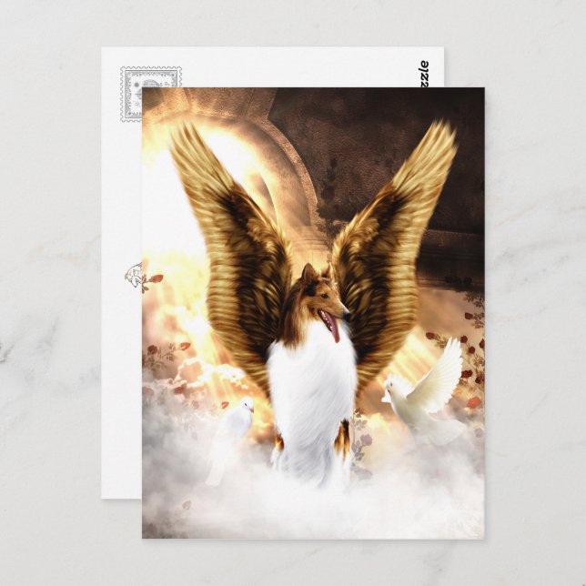 Postal Ángel collie alado en el cielo del perro (Anverso / Reverso)
