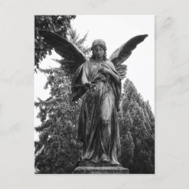 Postal Ángel Con Alas Propagadas Sosteniendo Una Flor