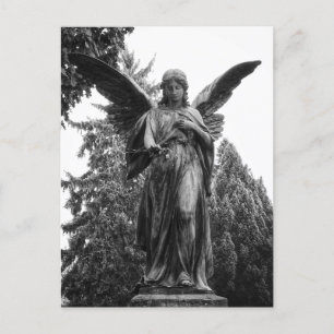 Postal Ángel Con Alas Propagadas Sosteniendo Una Flor