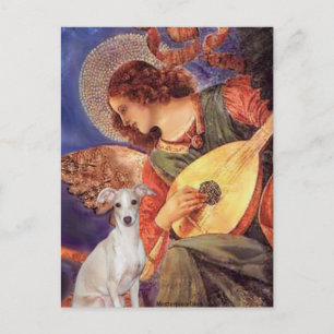 Postal Ángel de la mandolina - - Galgo italiano 7