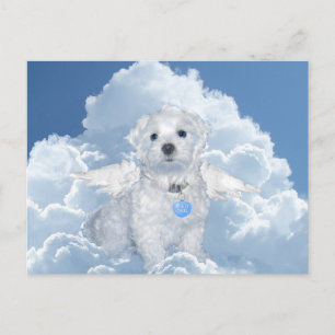 Postal Ángel de rescate maltés