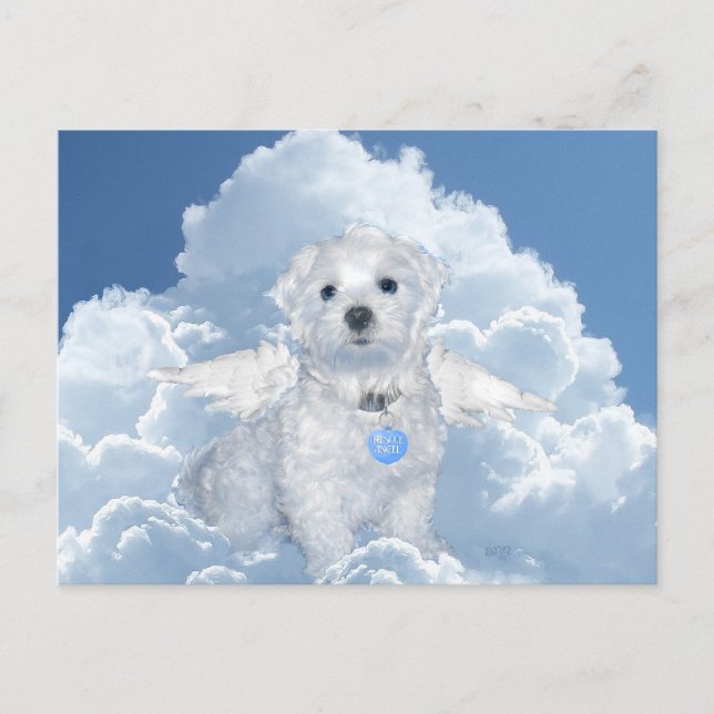 Postal Ángel de rescate maltés (Anverso)