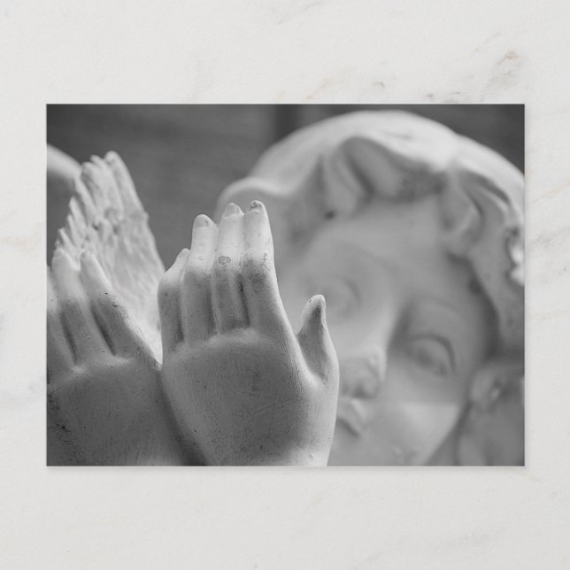 Postal Angel de Shirley Taylor (Anverso)