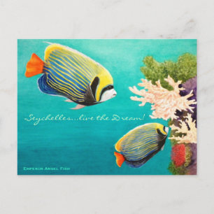 Postal Ángel del emperador