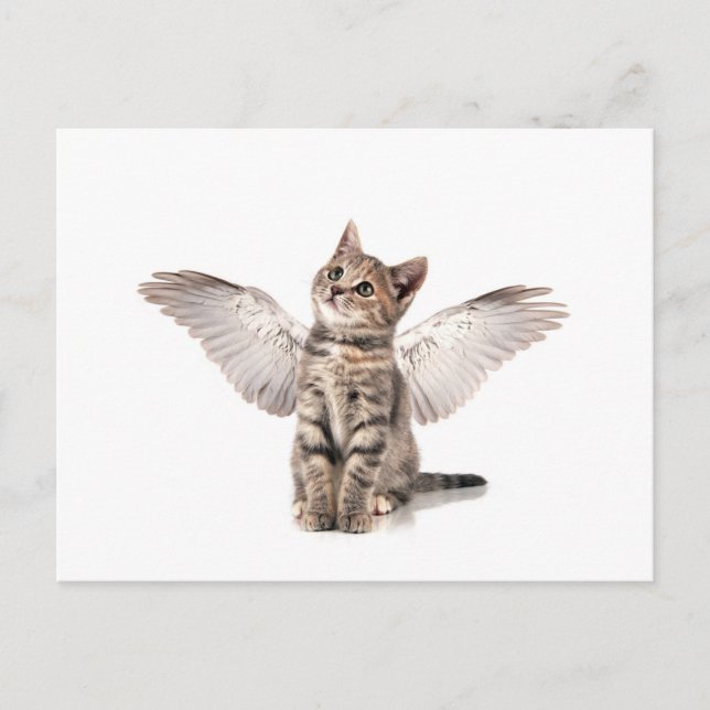 Postal angel kitty (Anverso)