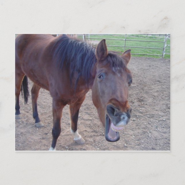 Postal Angel Laugh (Anverso)