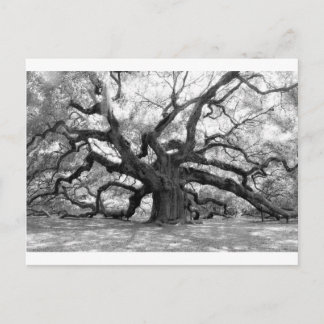 Postal Angel Oak
