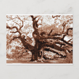 Postal Angel Oak