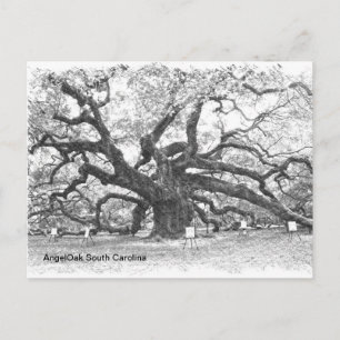 Postal Angel Oak Tree