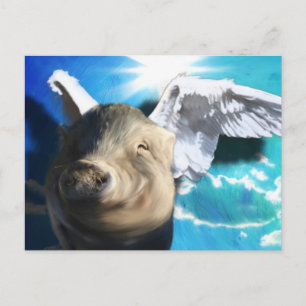 Postal Ángel Pig
