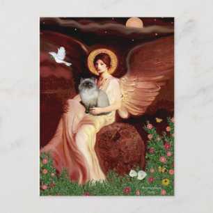 Postal Ángel sentado - gato himalayo 7