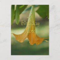Angel Trumpet Postcard - personalizar en cualquier