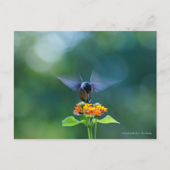 Postal Angel Wings (Anverso)