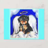 Angel Yorkie Poo