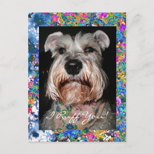 Postal Angelface, ¡Te Ruff! (Anverso)