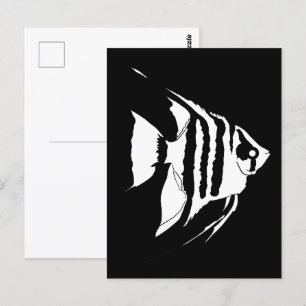 Postal Angelfish. Blanco y negro. Monocromo