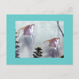 Postal Angelfish de perla plateada