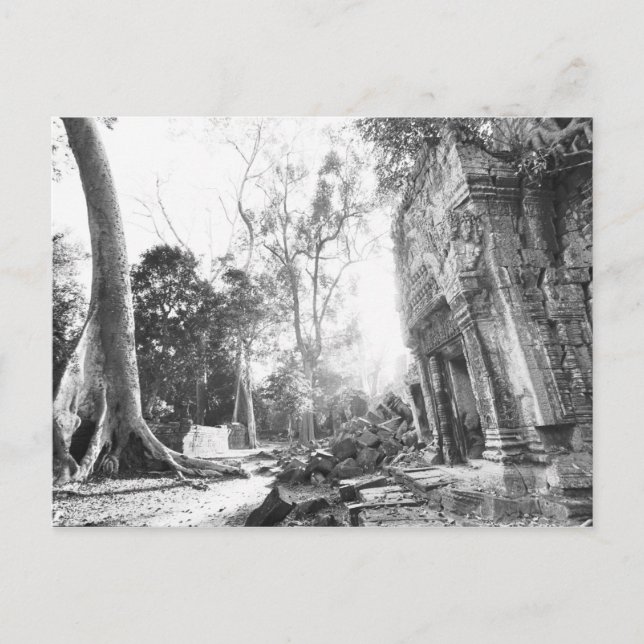 Postal Angkor Camboya, detalles Ta Prohm (Anverso)