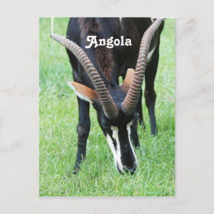 Postal Angola Sable Antelope