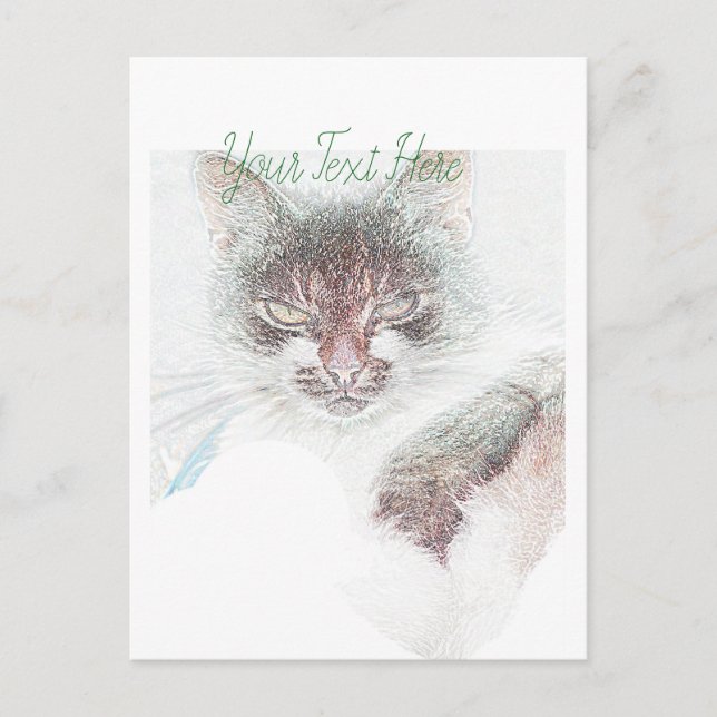 Postal Angry Cute Cate Face Sketch (Anverso)