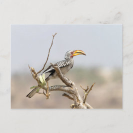 Postal Anguila almenada