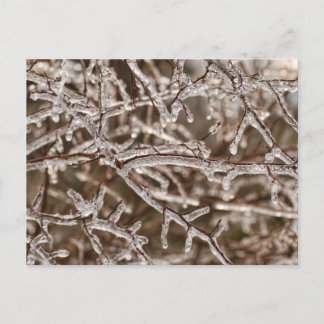 Postal Ángulo de ramas de hielo