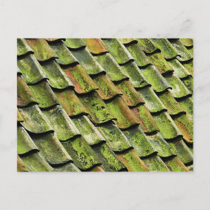 Postal ángulos verdes