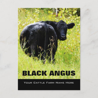 Postal Angus Steer negro - Añadir tu nombre de rancho de