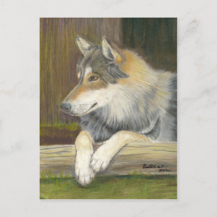 Postal Anhelo de ser libre