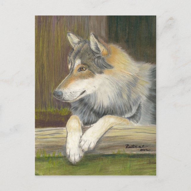 Postal Anhelo de ser libre (Anverso)