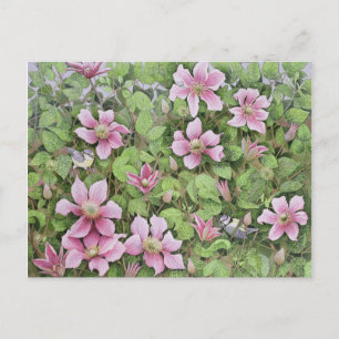 Postal Anidar en Clematis