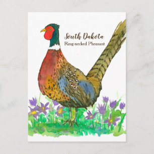 Postal Anillo de Dakota del Sur Necesario Pheasant Pasque