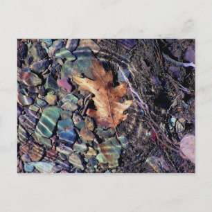 Postal anillos de agua brillante