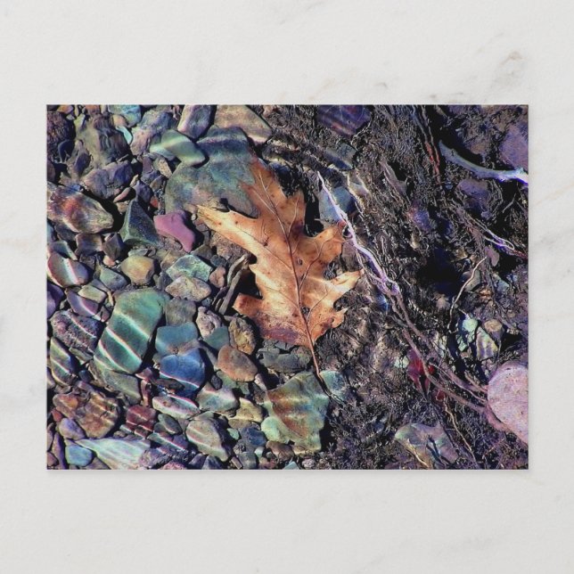 Postal anillos de agua brillante (Anverso)