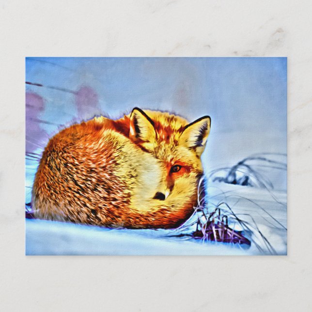 Postal *~* Anima Red Fox Ap18 Vida Silvestre Artística Ún (Anverso)