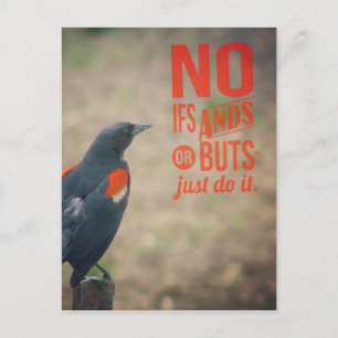 Postal Animación de Blackbird