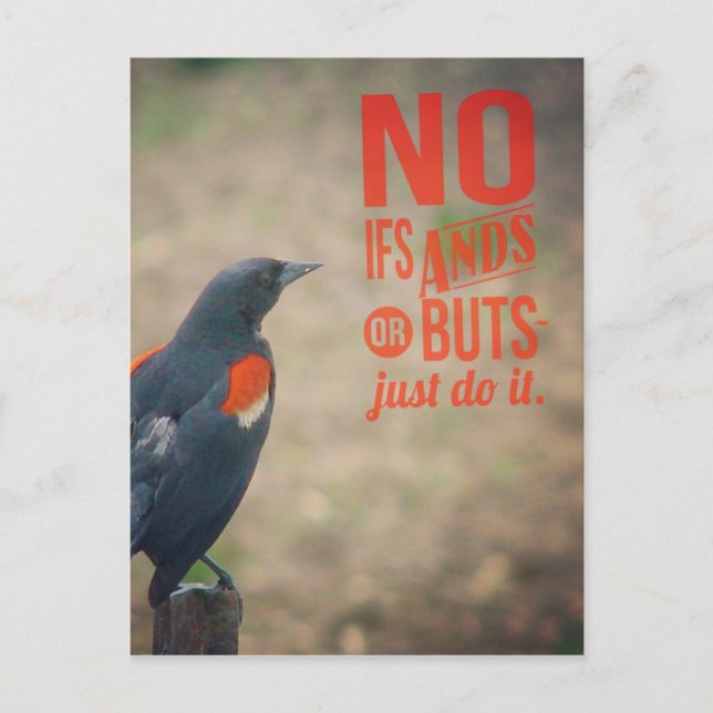 Postal Animación de Blackbird (Anverso)