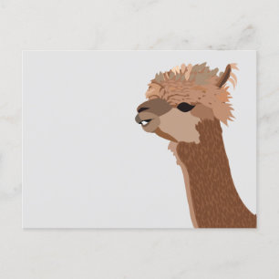 Postal Animal Alpaca Lindo