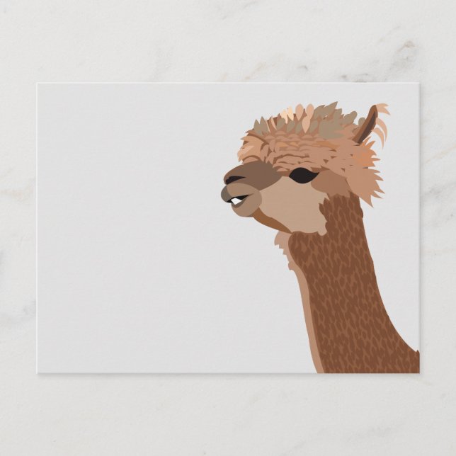 Postal Animal Alpaca Lindo (Anverso)