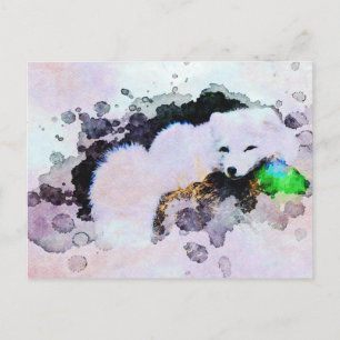 Postal *~* Animal AP18 Fox Polar Polar Blanco Ártico de F