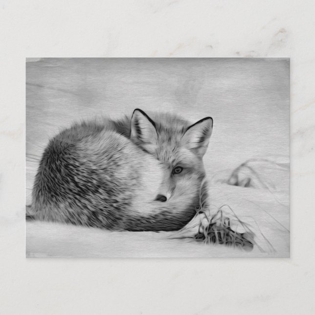 Postal *~* Animal artístico Red Fox Ap18 Artsy Wildlife (Anverso)
