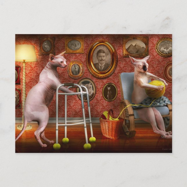 Postal Animal - Cat - Retirement home for cats (Anverso)