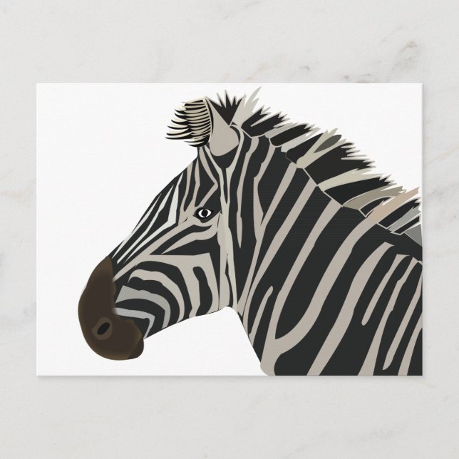 Postal Animal cebra  (Anverso)