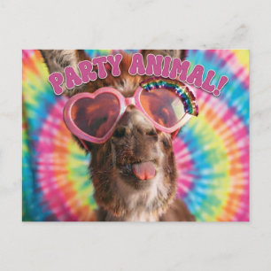 Postal Animal de Fiesta - Burro Divertido con Gafas de So