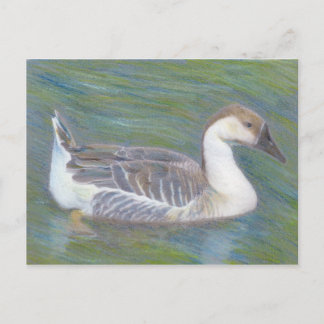 Postal animal del Bella Artes doméstico de oca