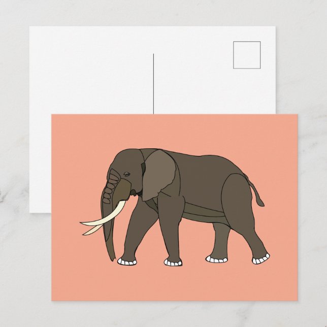 Postal Animal Elefante (Anverso / Reverso)