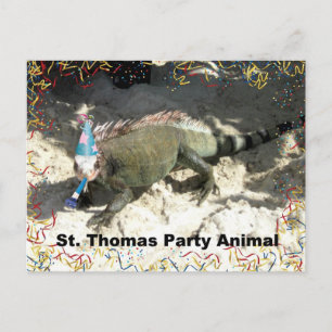 Postal ¡Animal Fiesta de Santo Tomás!